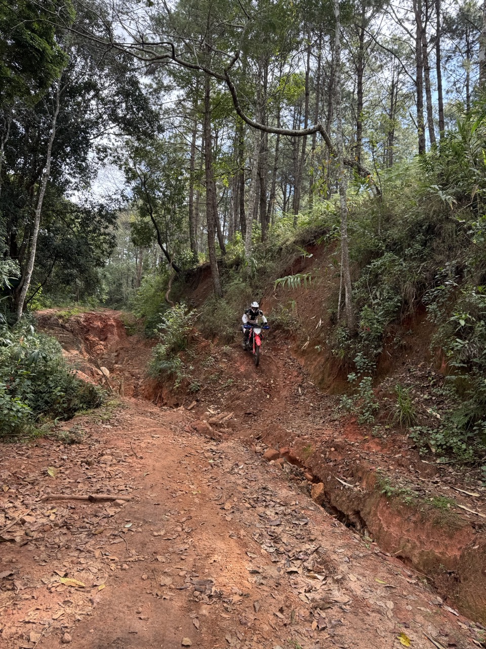 Steep, eroded, and rutted. The 250L found the inside line first, and the rest of us followed it claiming we had a plan.