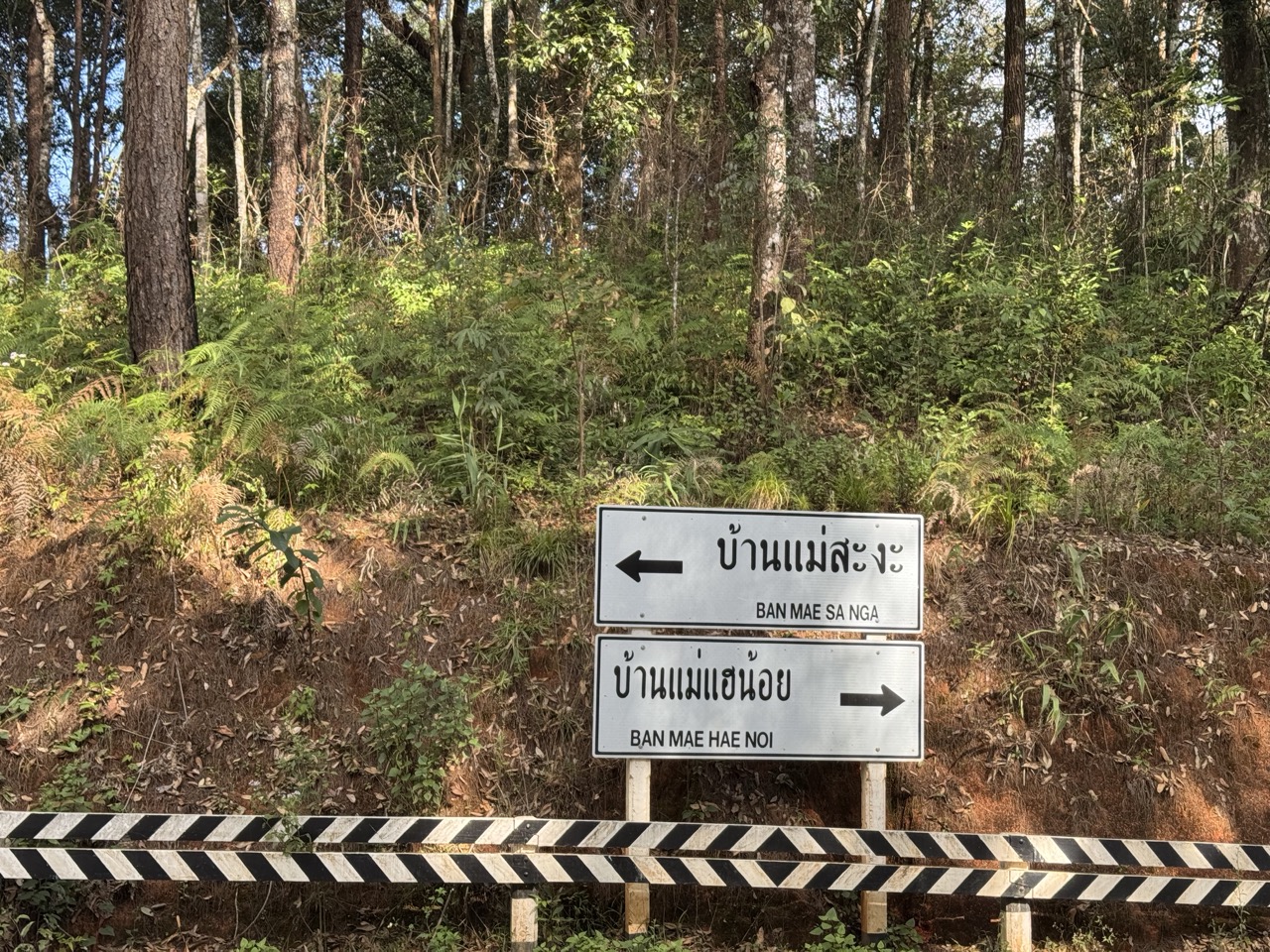 One of the rare signposts on this side of the loop — useful, especially if you missed the turn we missed twice.