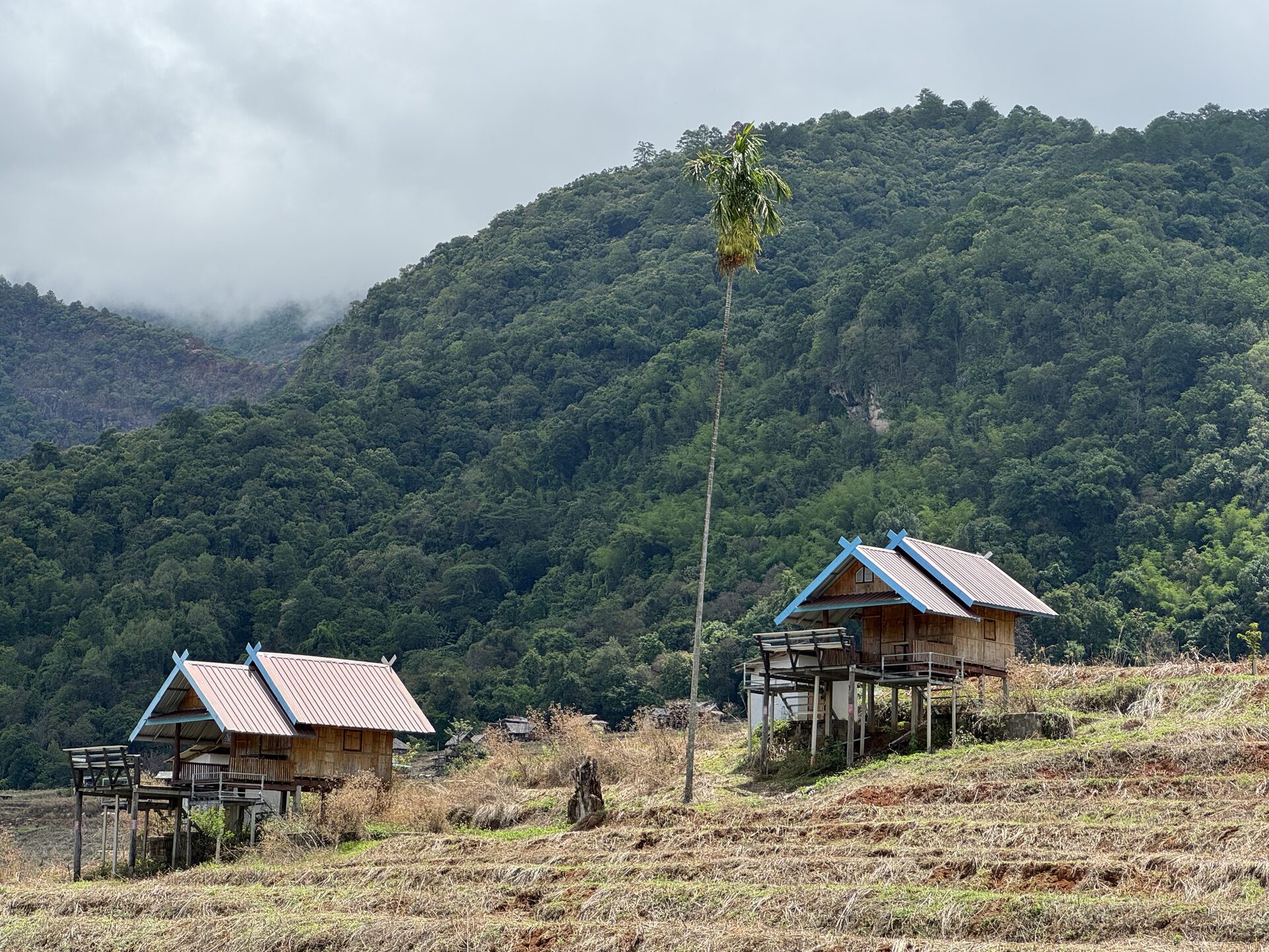 Pa Pong Piang from a side road — the country the loop is supposed to connect.