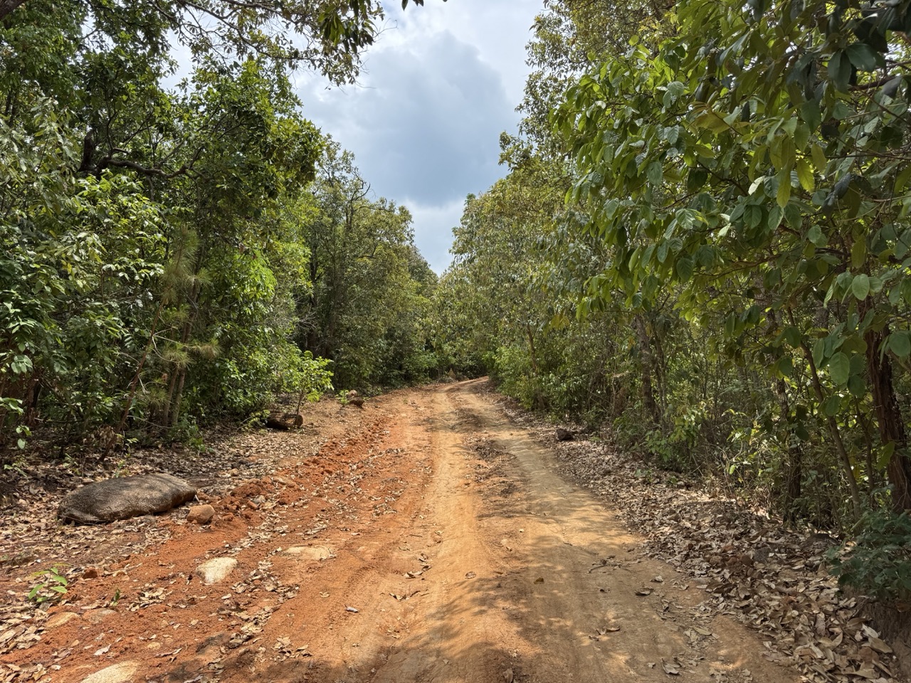 Empty red-dirt jungle trail. We saw two scooters and a pickup all afternoon.
