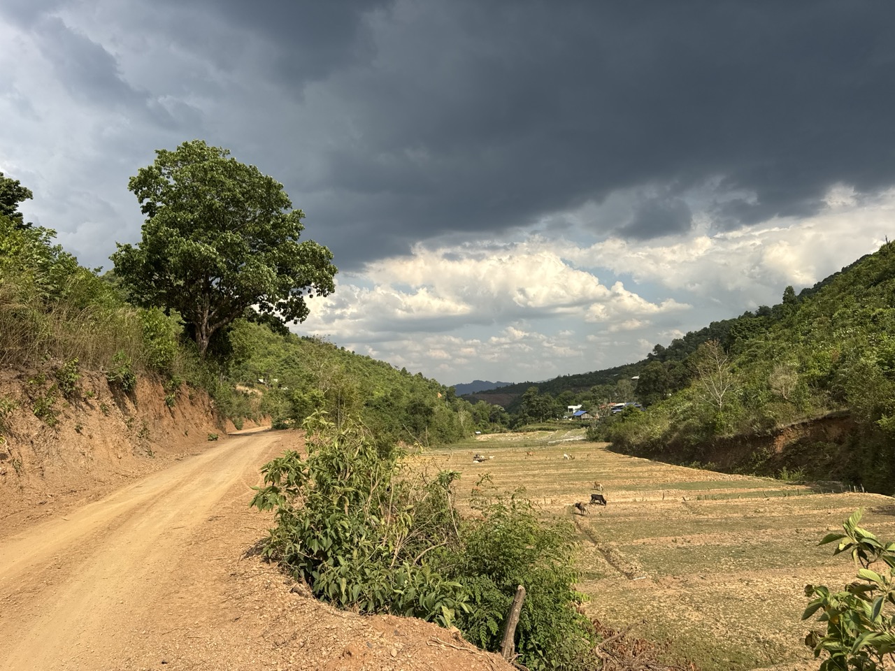 Storm clouds building over the fields outside Mae Sariang as we dropped into the valley.