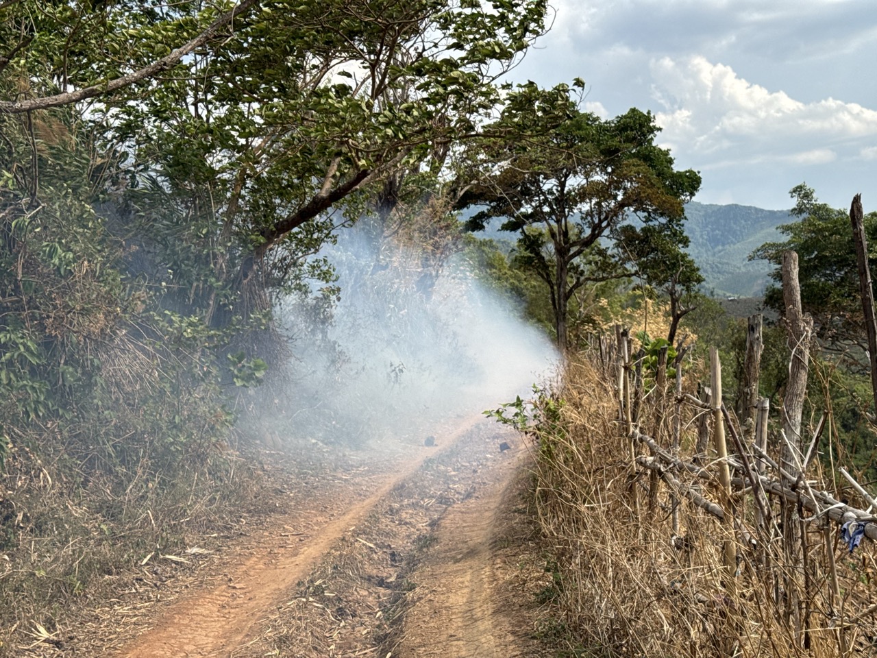 Roadside burn-off near Mae Sariang. Plenty of this in early May.