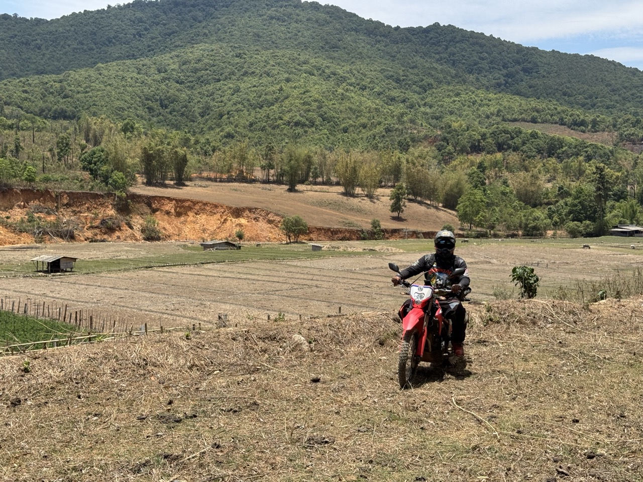 Riding across a dry paddy field where the track briefly disappears.