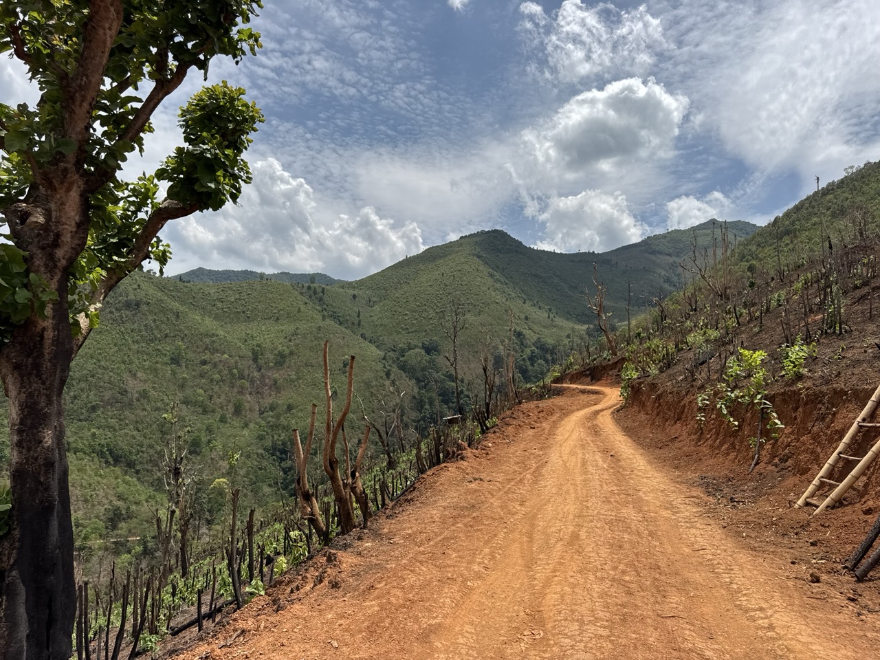 Orange dirt road winding through the hills west of Om Koi.