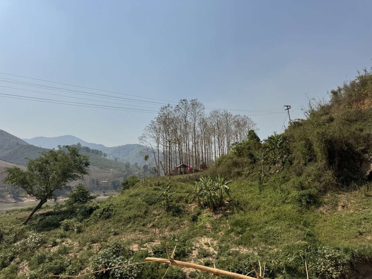 A hillside village hut nested in the trees. Most settlements you pass on this leg are like this — small, wooden, working.