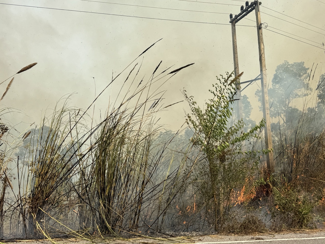 Roadside grass fire — the source of half the haze. You ride past, you don't stop.