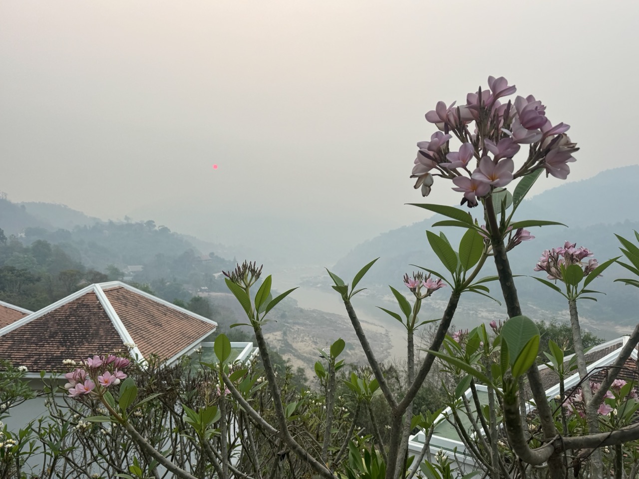 Sunrise from the resort terrace, day two.