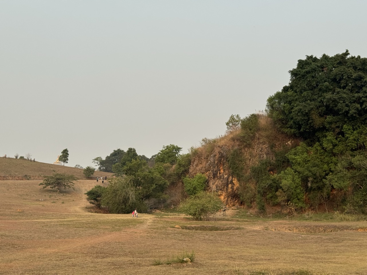 A distant Buddha statue across the field, from one end of Site 1.