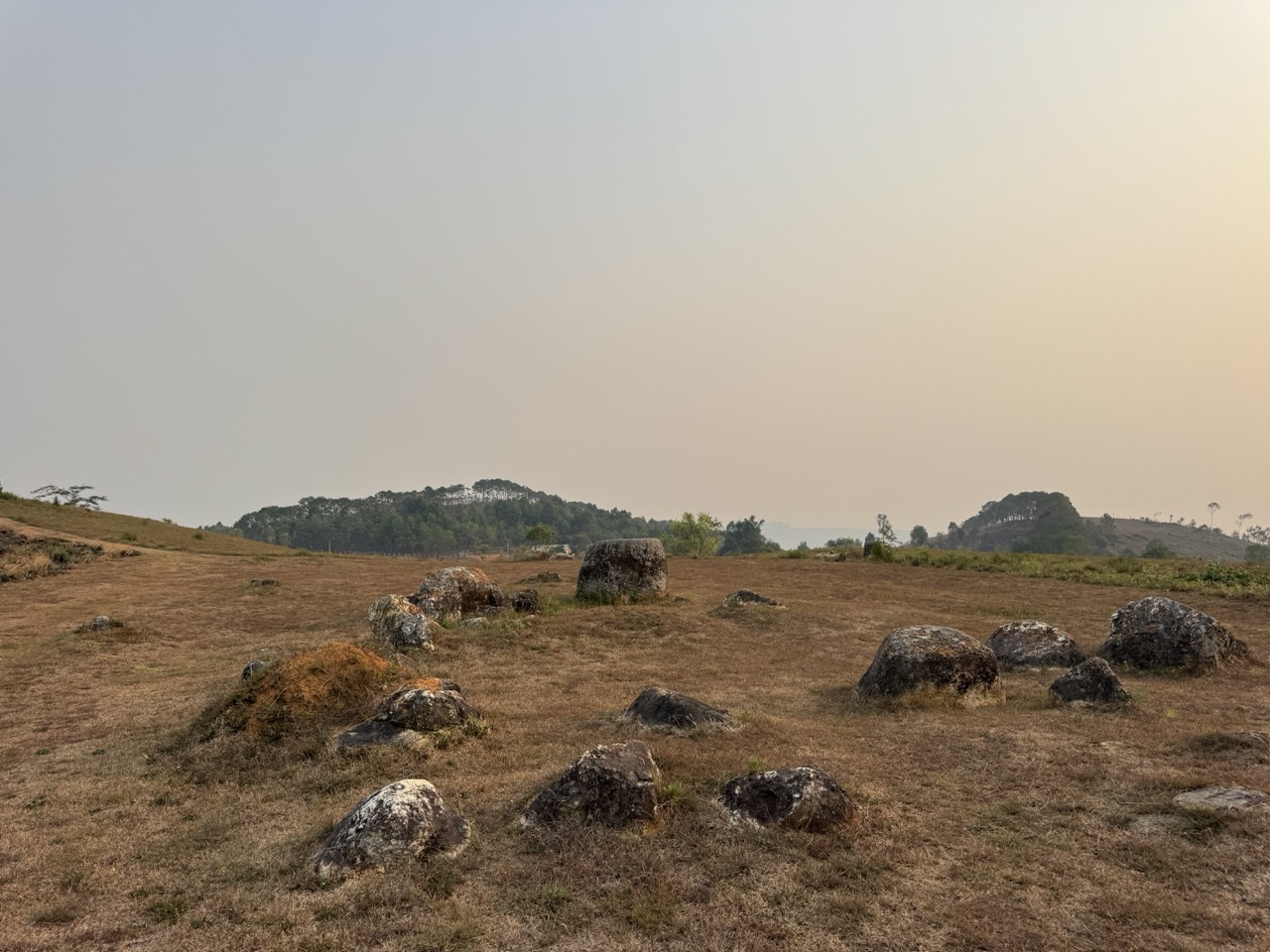 Site 1 — wide view of the scattered jars across the field.