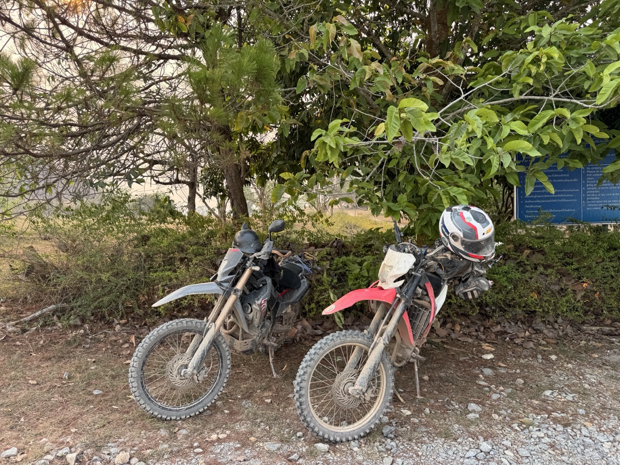 Bikes parked at Site 1 entrance, late afternoon.