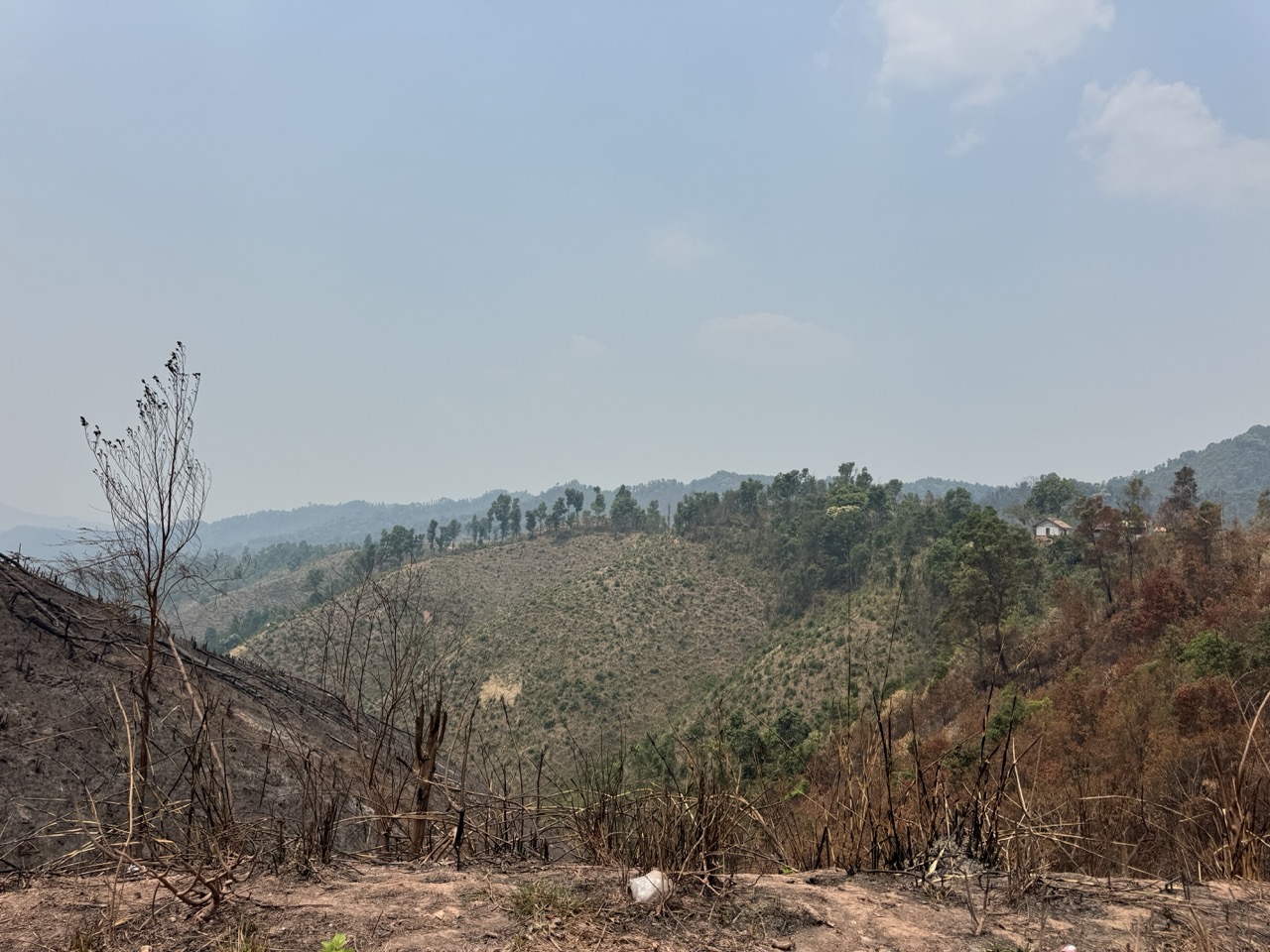 Slash-and-burn hillside. April is when this is happening across the entire region — agricultural and that's what creates the haze.