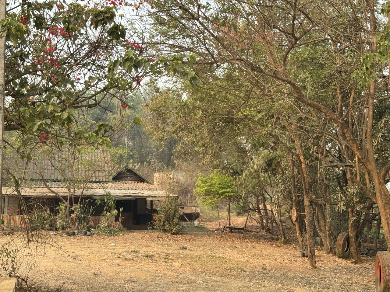 Dry roadside hut. Most of these are seasonal — used during planting and harvest.