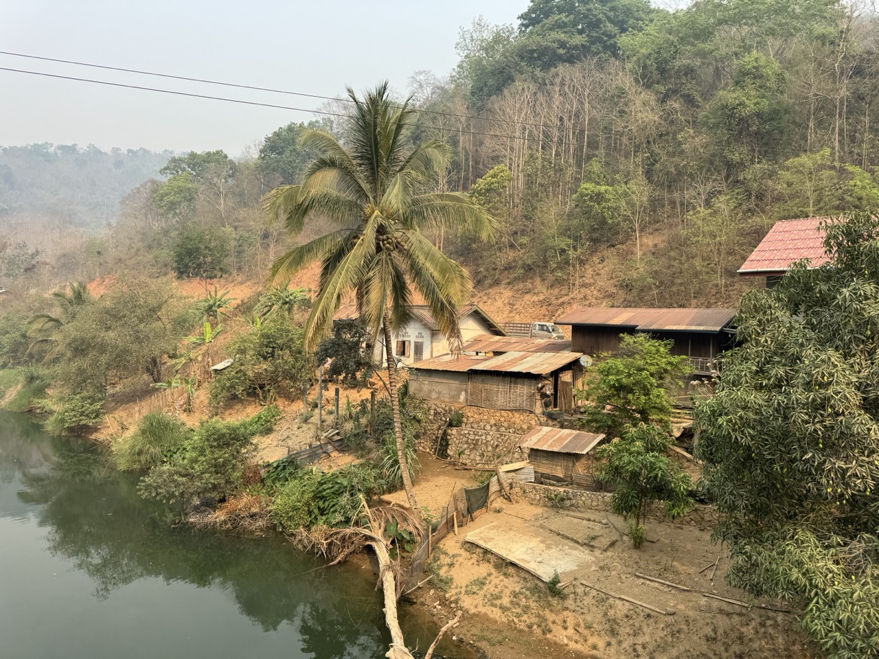 Riverine village with a single coconut palm holding centre stage.