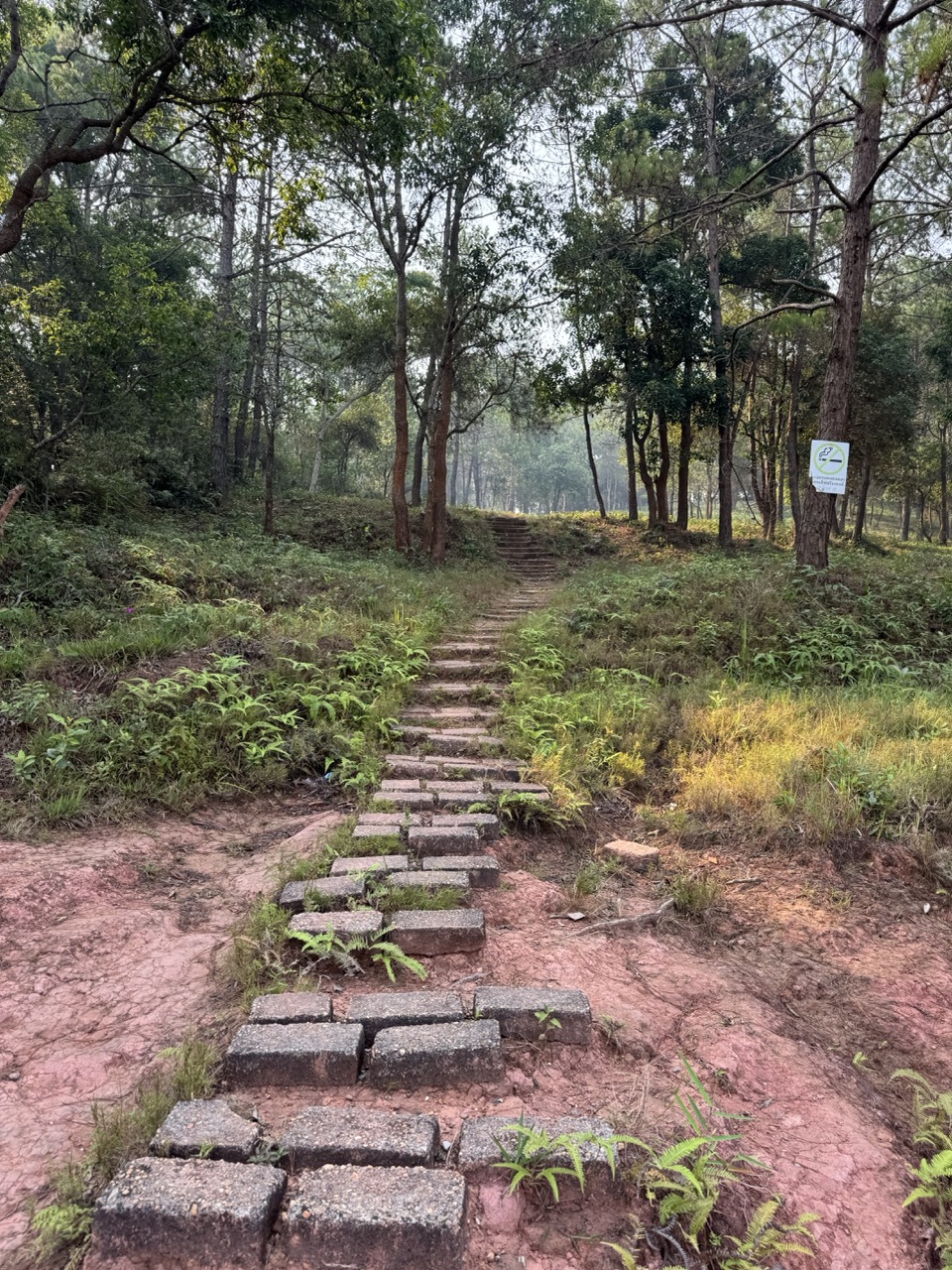 Brick-and-stone staircase trail through the site.