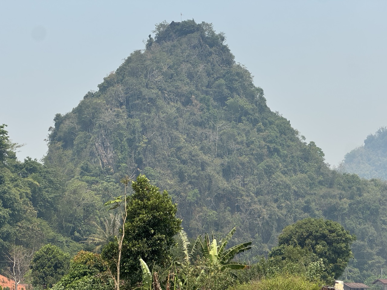 Karst peak above banana trees.