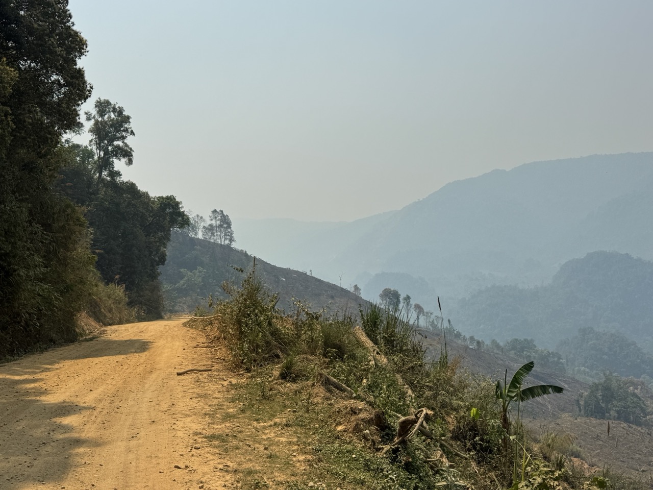 Ridge road above a burned hillside.