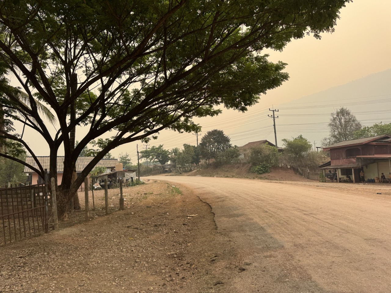 Hazy town road, flametree shade.