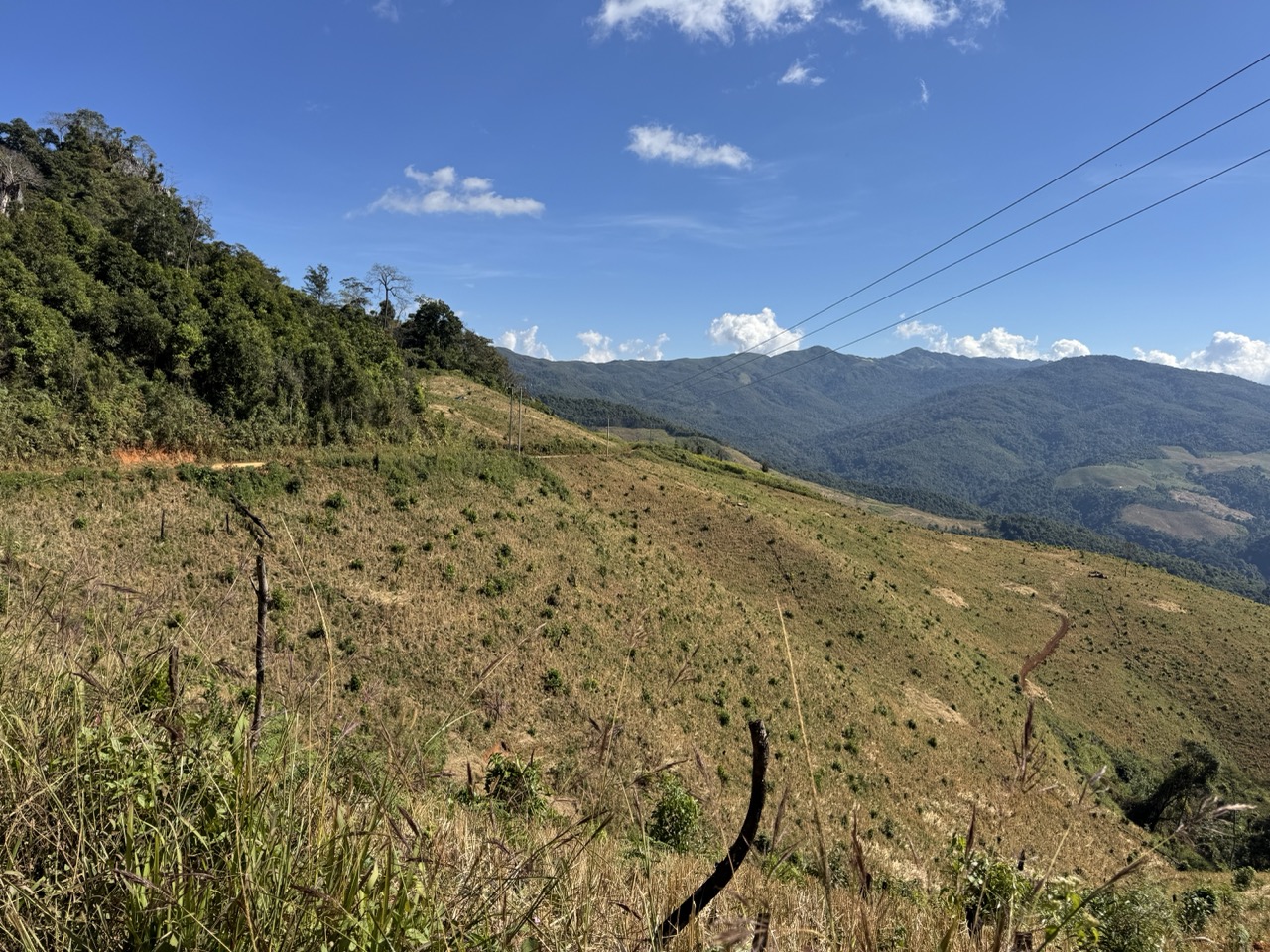The signature view of northern Laos: cleared ridgelines with rectangular swidden patches carved out of the jungle.