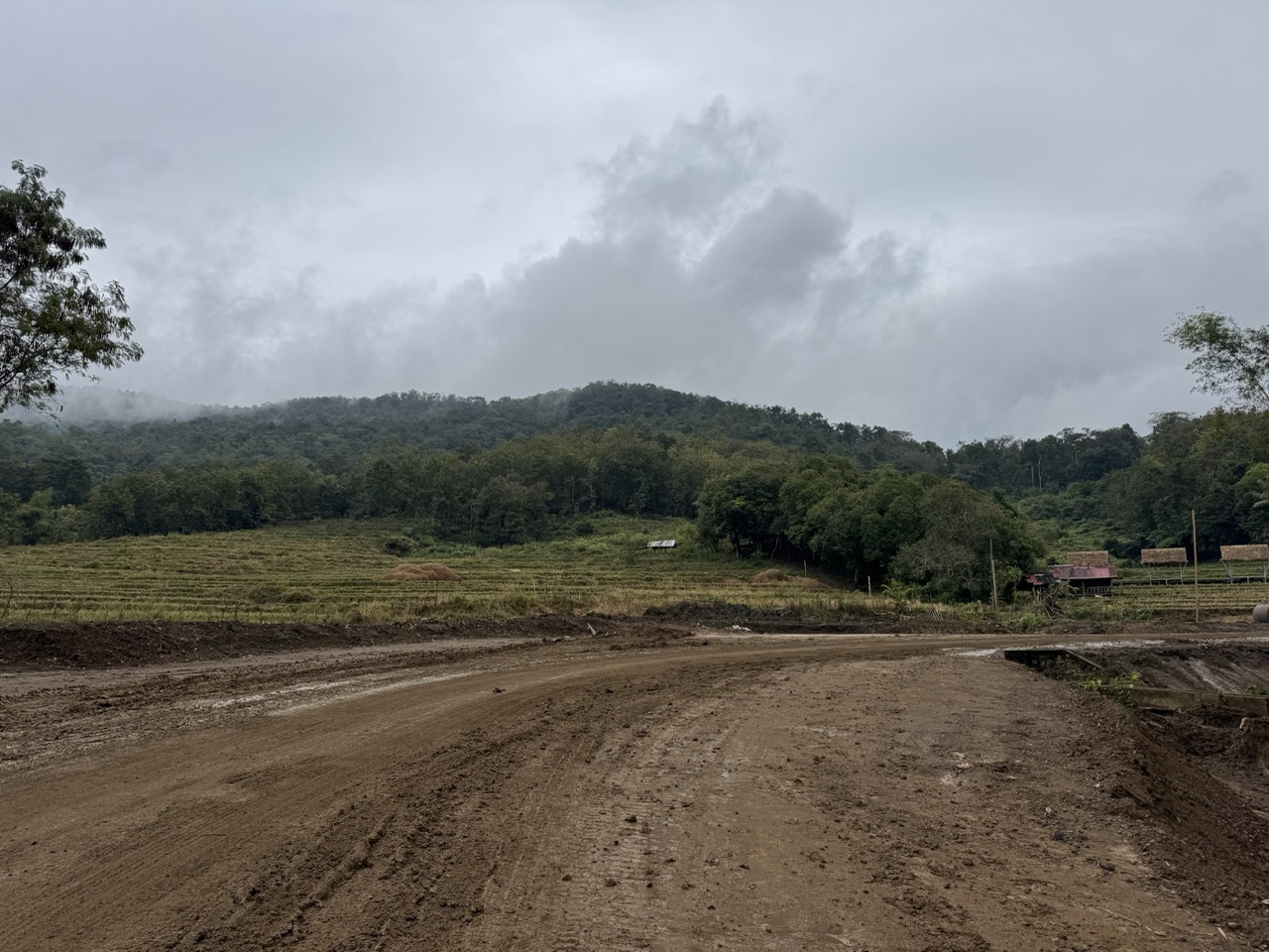 Road to Kuang Si under reconstruction — wet clay churned by trucks, on what should have been a paved tourist road.